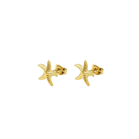 Starfish Marina Studs: Gold