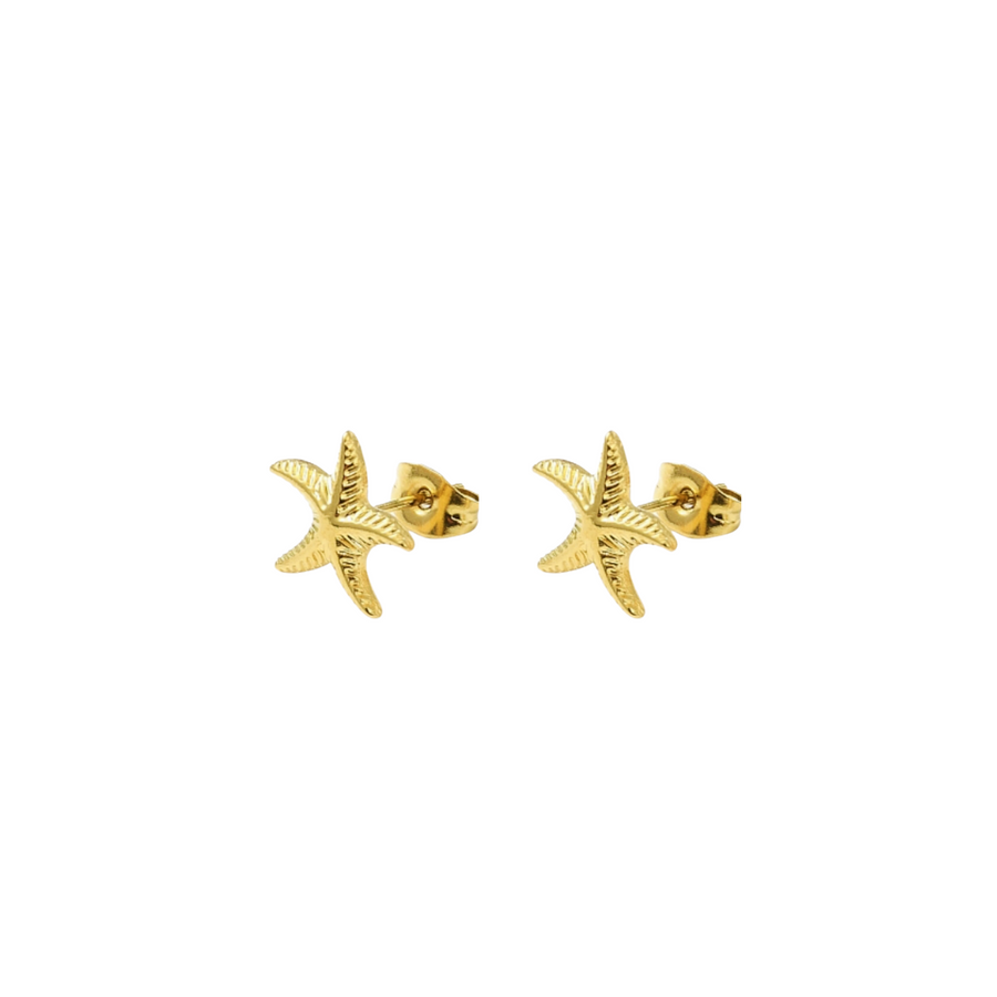 Starfish Marina Studs: Gold