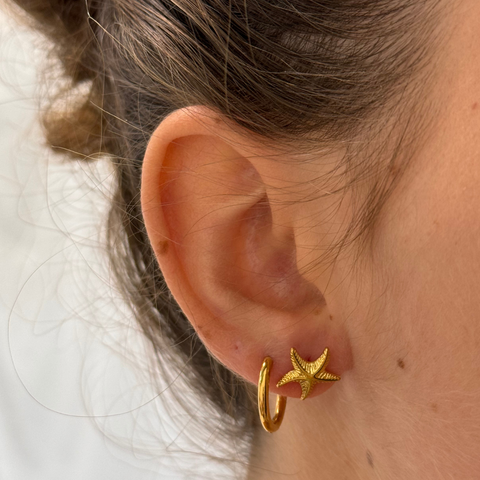 Starfish Marina Studs: Gold